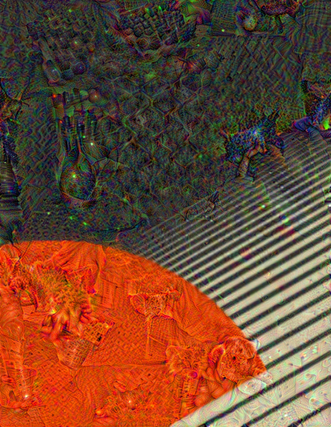 Deep Dreaming Project